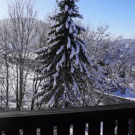 Apartment Allgaeuzeit Mit Hallenbad & Sauna & Kostenlosem Wlan