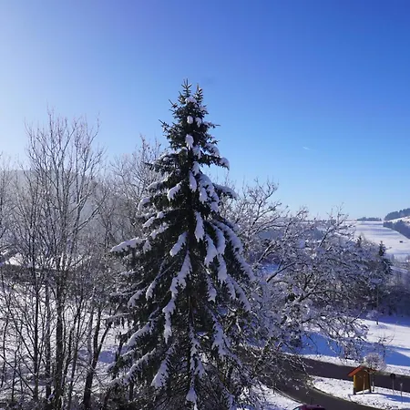 Allgaeuzeit Mit Hallenbad & Sauna & Kostenlosem Wlan Apartment Missen-Wilhams