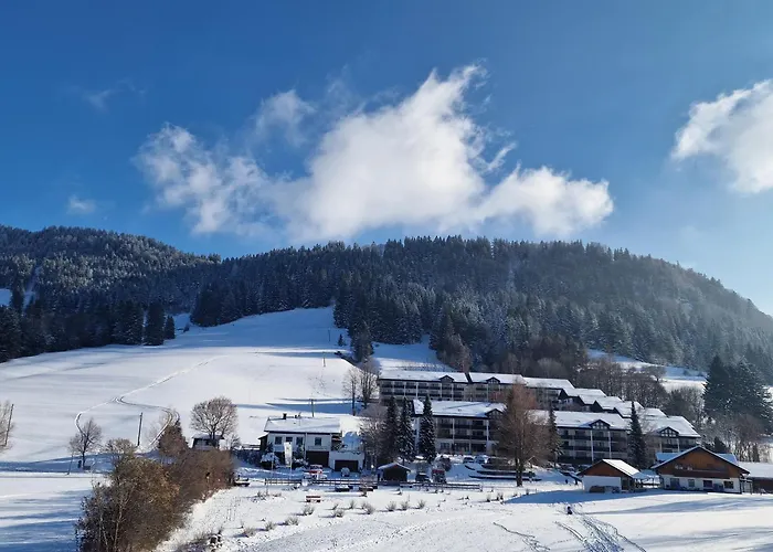 Appartamento Allgaeuzeit Mit Hallenbad & Sauna & Kostenlosem Wlan